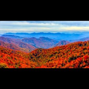 Fall foliage is beautiful